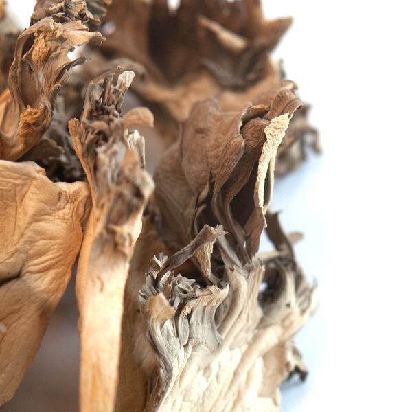 Maitake Mushrooms