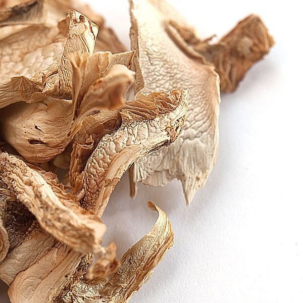 Mushroom Matsutake